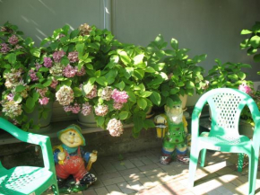 Guest House Zoya